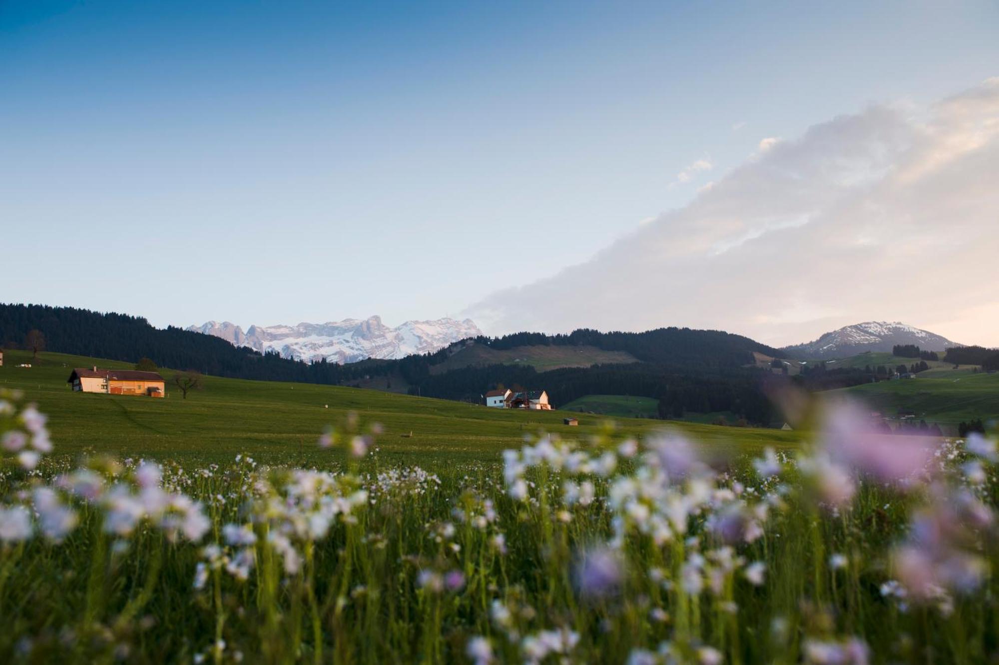 Hotel Landgasthof Eischen Appenzell Exterior foto